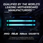 Kingston FURY Beast RGB 32GB (2x16GB) 6000MT/s DDR5 CL36 Desktop Memory | AMD EXPO - Image 3